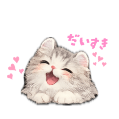 mayu_11231123