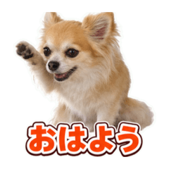 nao_20260627121008