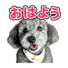nao_20260627121735