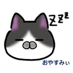 Rei_20260627122022