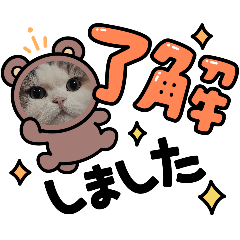 CAT_20260627124310