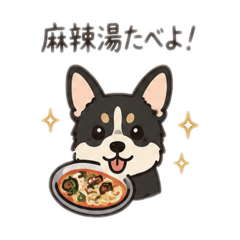 corgi!!!!!!!!