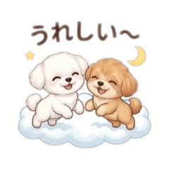 Chiyoppy_20260627125311
