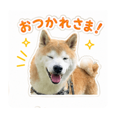 miya_20260627131250