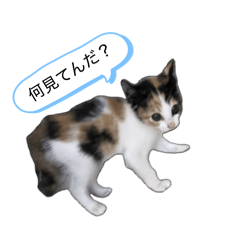riririririrri