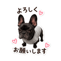 erii_20260627003025