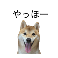 ayano_20260627022743