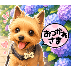 たなはさはら
