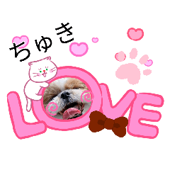 Momo_20260627140026