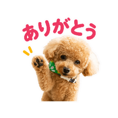 you_20260627140718