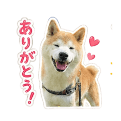 miya_20260627142750