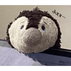 ssk_20260627145514