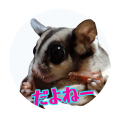 UNK_20260627145825