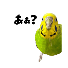 Poniponi_20260627150334