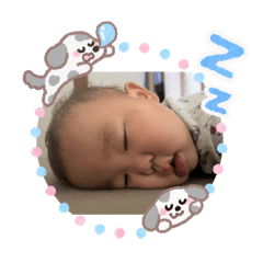 satomi_20260627152611