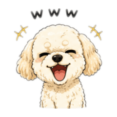 Maltipoo dog