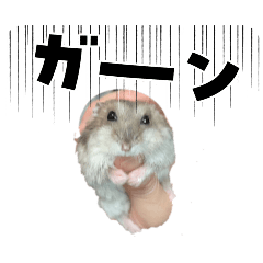 rino_20260627161517