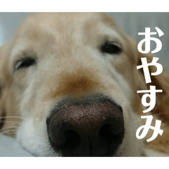 HANA_20260627163212