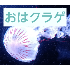 JerryFish stamp