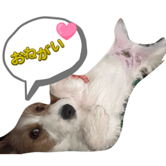 Kana_20260627180701