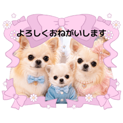 MONCHERI_20260627182146