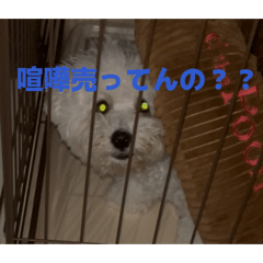 r_20260627182639