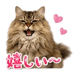 OMOCHI Part2