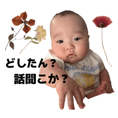 Madoko_20260627201315
