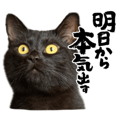 AI_20260627202724