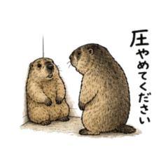 ayako_20260627202603