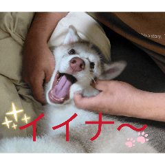 kawaii_20260627202915