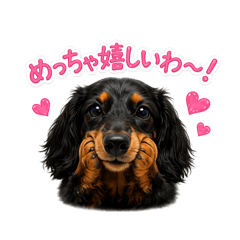 tomoco_20260627211941