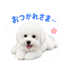 mugichan_20260627220903