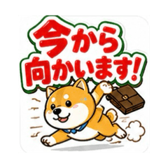 alice papa_20260627221