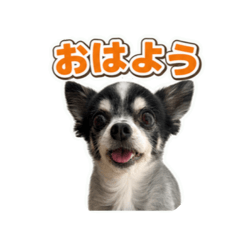 2026.06.02.COCO