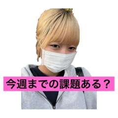 no_20260627222653