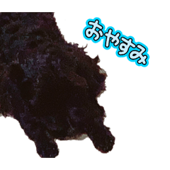 Aoi_20260627224224