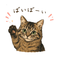 marucats_20260627223855