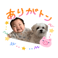 mi-_20260627220801
