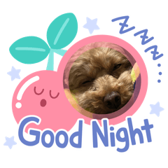 mayu_20260627230456