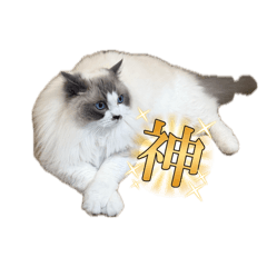 Latte_20260627232158