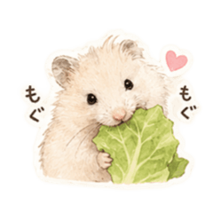 Shirasu, the Golden Hamster