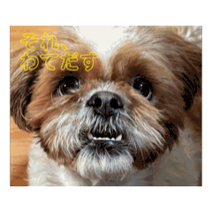 kutin_20260701