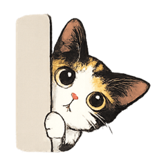 calicocat-Latte part2
