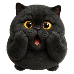 Blackie Chubby Grumpy Cat