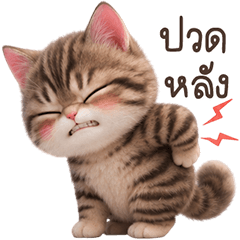 ❤️แมวสลิด จอมป่วน❤️