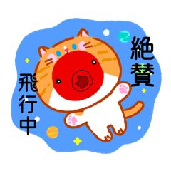 tako_20260626074118