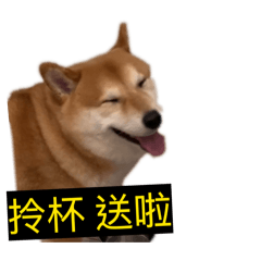 張寶仔