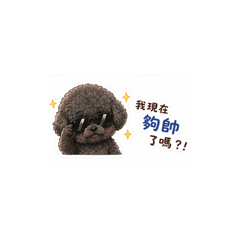 O Lulu Cute