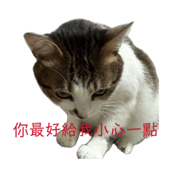 甜甜寶貝昂